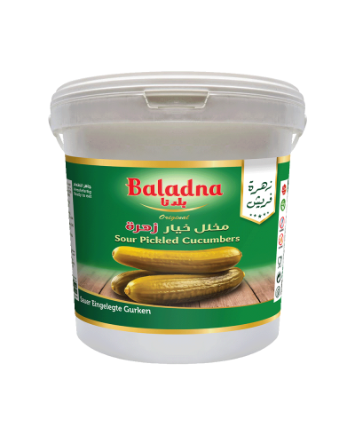 Baladna Sour Pickled Cucumbers Small - Oriental