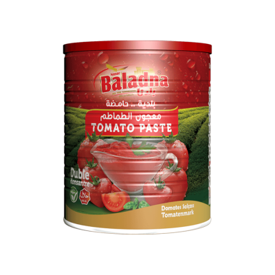 Baladna Tomato paste - Oriental