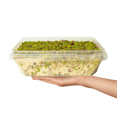 Baladna Halva covered with pistachios - Oriental