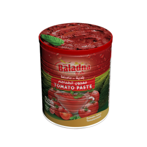 Baladna Tomato paste - Oriental