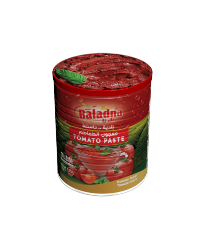 Baladna Tomato paste - Oriental