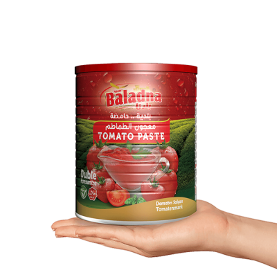 Baladna Tomato paste - Oriental